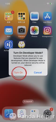 turn on Dev mode to start Panda Helper on iOS16
