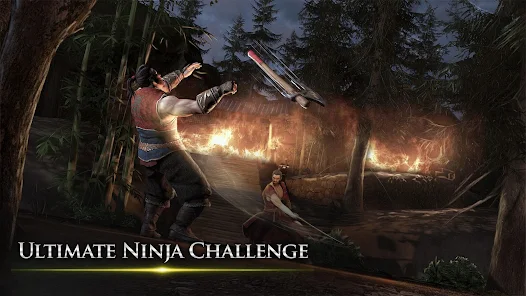 Takashi Ninja Samurai Game Mod