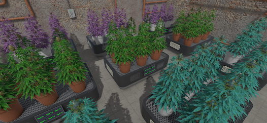 Weed Store Simulator Mod
