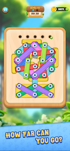 Wood Nuts And Bolts Puzzle Mod