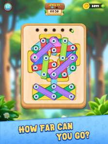 Wood Nuts And Bolts Puzzle Mod