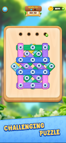 Wood Nuts And Bolts Puzzle Mod