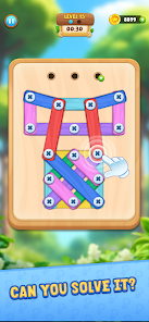 Wood Nuts And Bolts Puzzle Mod