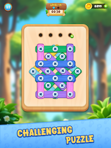Wood Nuts And Bolts Puzzle Mod