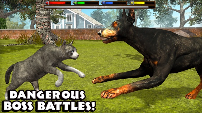 Ultimate Cat Simulator