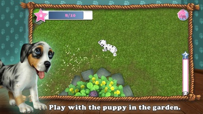DogWorld Premium