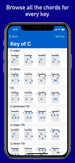 GtrLib Chords Pro