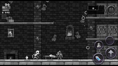 Rogue Legacy