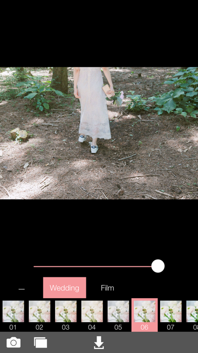 Analog Wedding