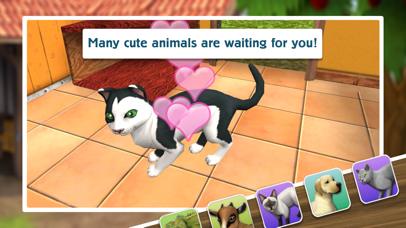Pet World Premium