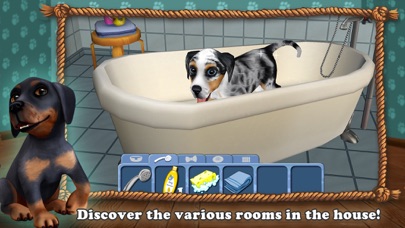 DogWorld Premium