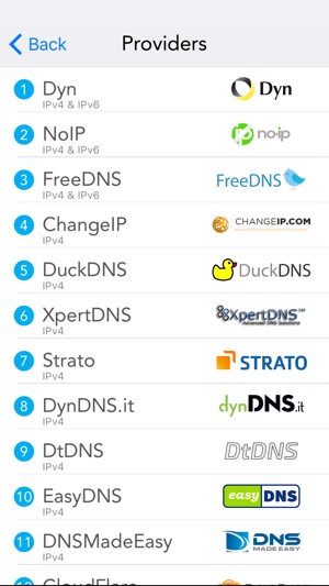 RealDNS - Dynamic DNS