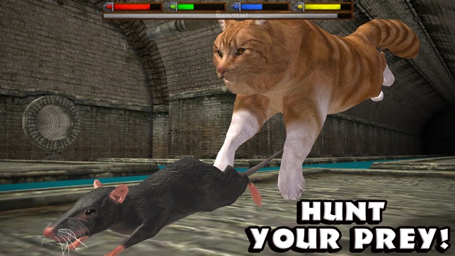 Ultimate Cat Simulator