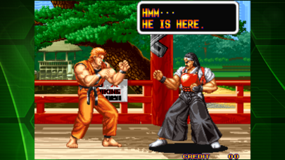 ART OF FIGHTING ACA NEOGEO