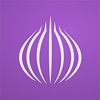 TOR Browser: OrNET Onion + VPN