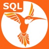 SQL Recipes Pro