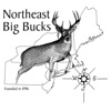 Northeast Big Bucks