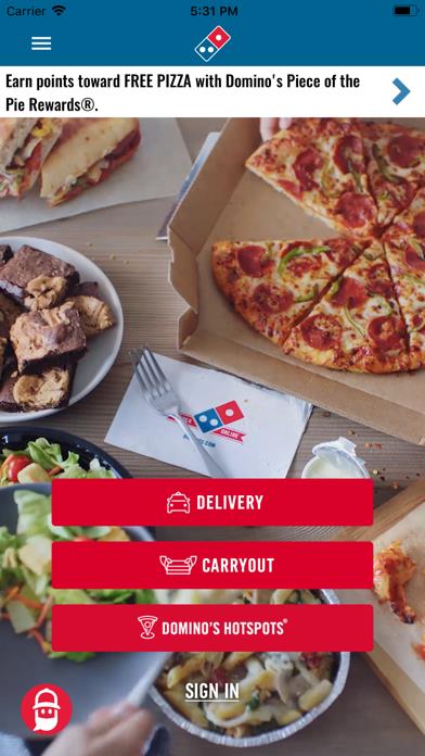 Domino's Pizza USA