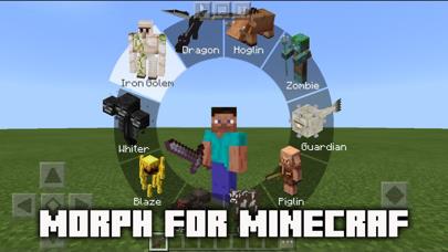 MCPE ADDONS - Morph Mods