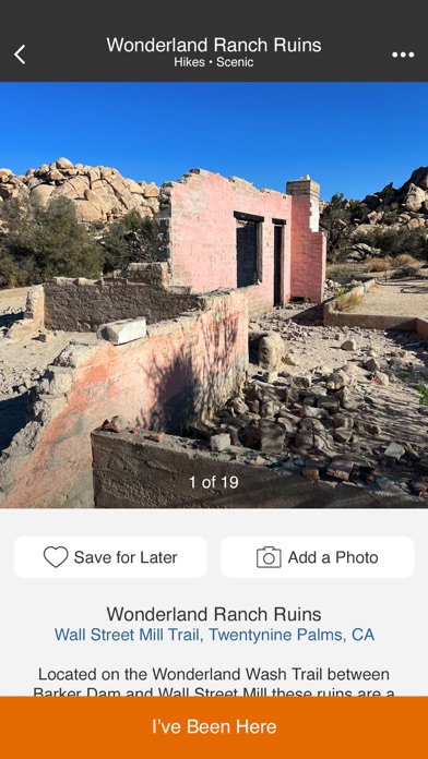 Joshua Tree by Fotospot