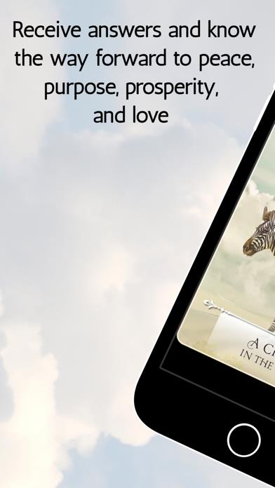 Wisdom of the Oracle Cards