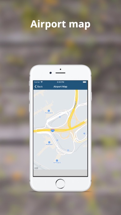 Flight Info Pro: FlightBoard