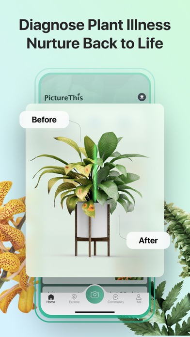 PictureThis - Plant Identifier