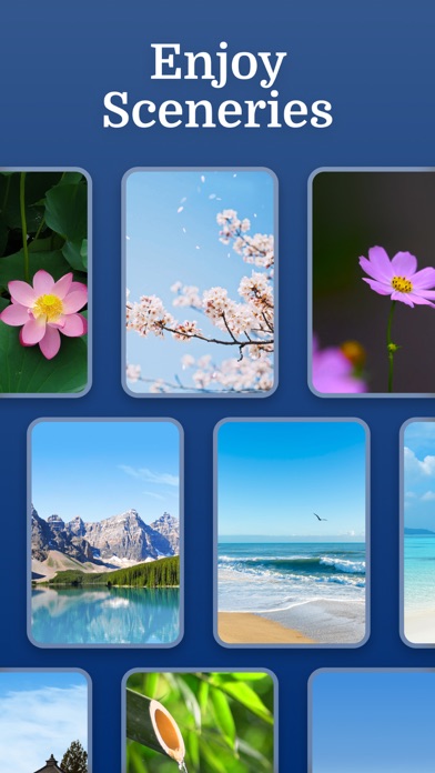 Zen Color - Color By Number