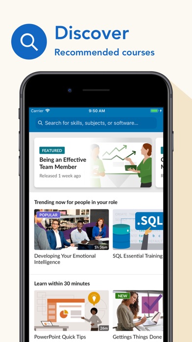 LinkedIn Learning