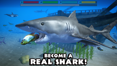 Ultimate Shark Simulator