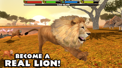 Ultimate Lion Simulator