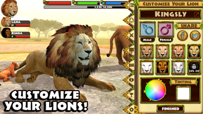 Ultimate Lion Simulator