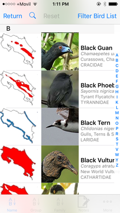 Costa Rica Birds Basic