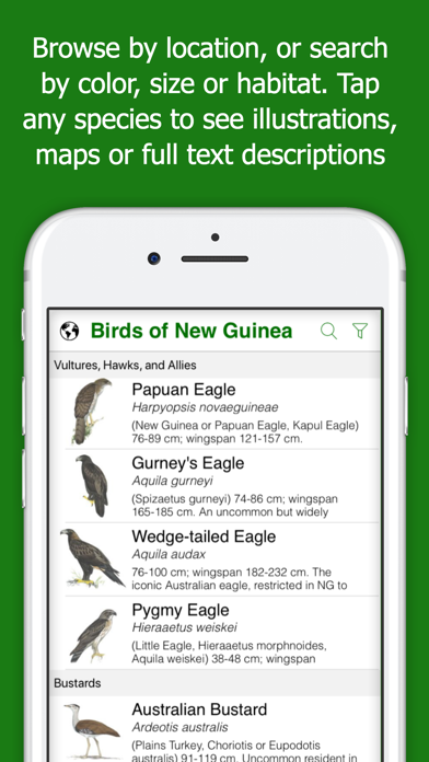 Birds of New Guinea