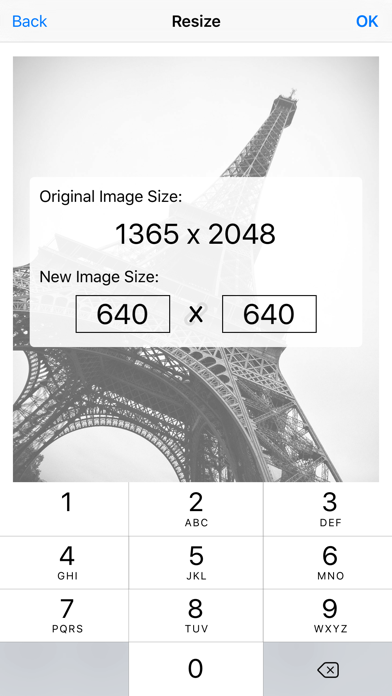 Image Resizer Pro - image crop