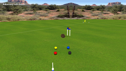 Croquet Pro 2