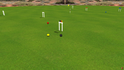 Croquet Pro 2