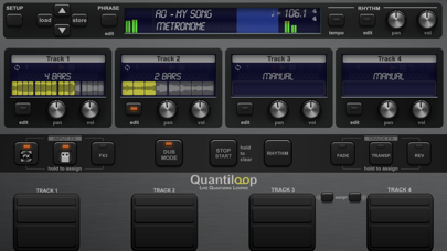 Quantiloop Pro - Live Looper