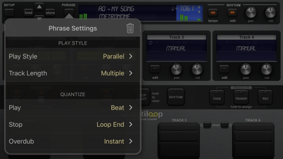 Quantiloop Pro - Live Looper