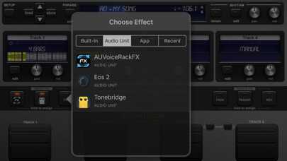 Quantiloop Pro - Live Looper