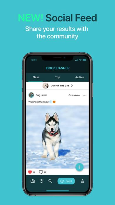 Dog Scanner