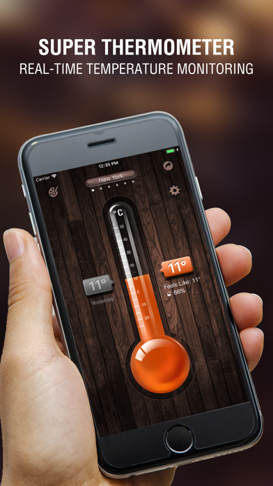 Digital Thermometer app