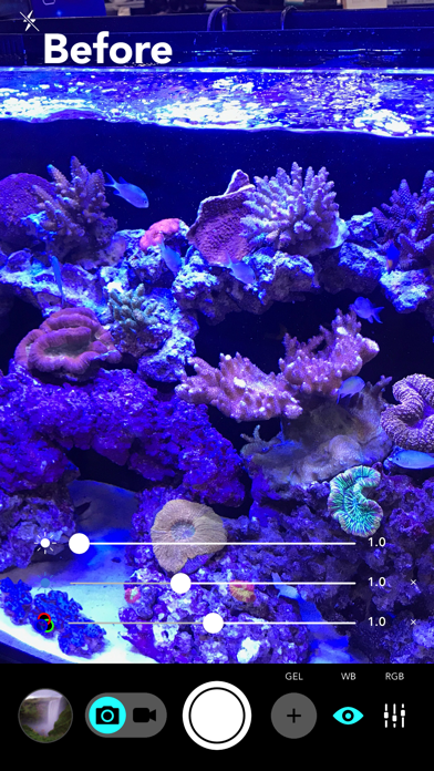 Aquarium Camera