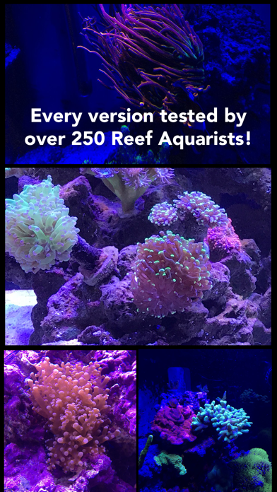 Aquarium Camera