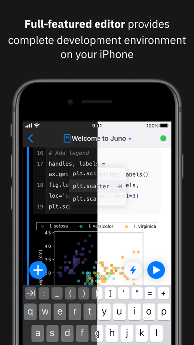 Juno Connect: Jupyter Client