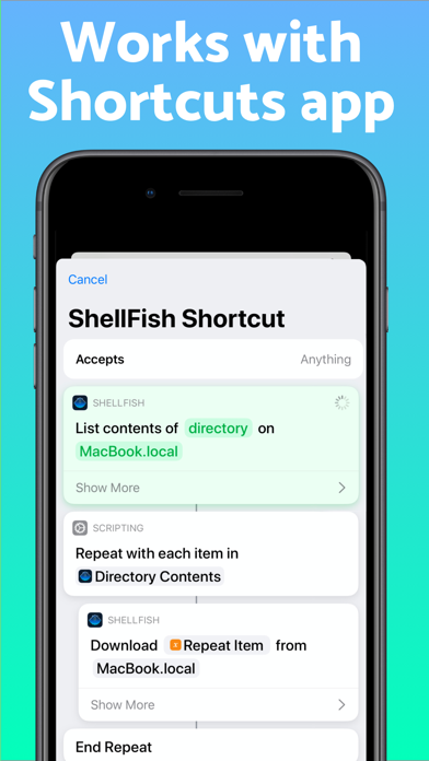 SSH Client - Secure ShellFish