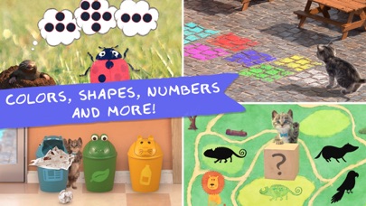 Little Kitten & Friends School