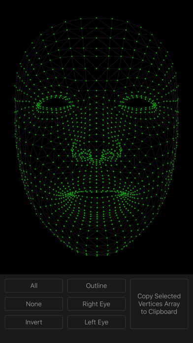 Face Mesh