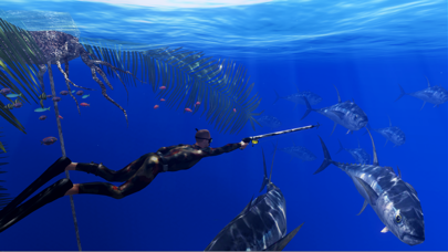 Freediving Hunter Adrenaline