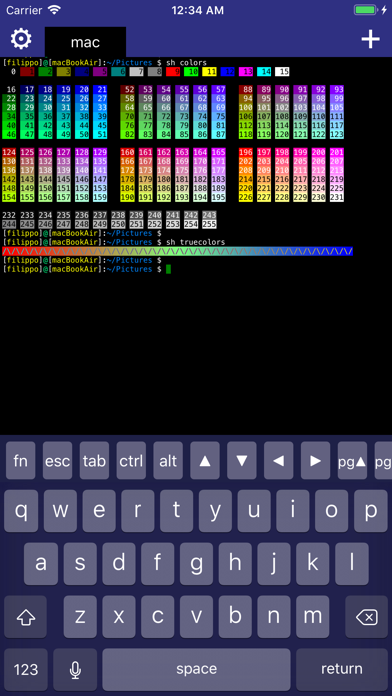 Secure Terminal